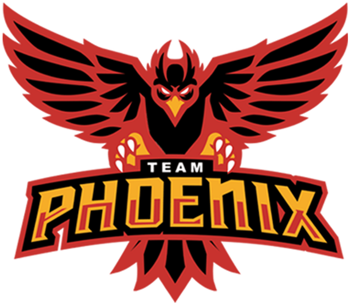 DFW Phoenix Basketball Logo